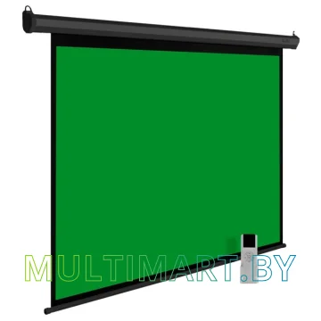Проекционный экран CACTUS GreenMotoExpert 200x200 (CS-PSGME-200X200)